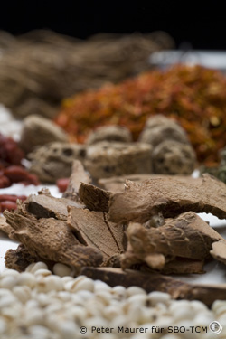 Pilze auf Teller Vitalheilpilze