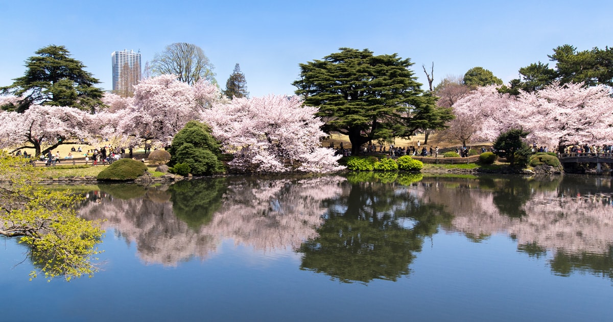 Japanische Akupunktur